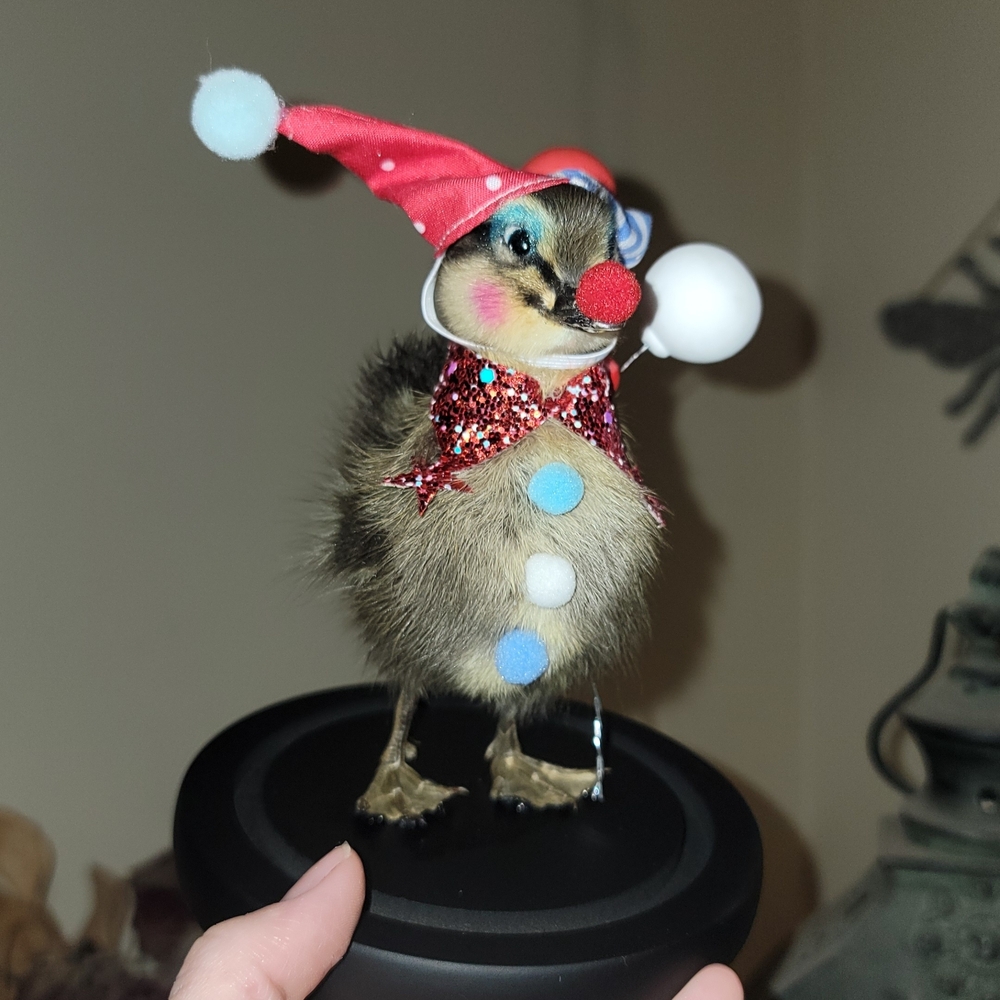 Whimsical Duckling Ornament with Red Hat and Pom-Poms